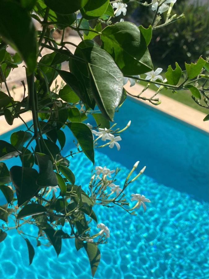 Beautiful Villa With Pool, Barbecue, And Garden Jávea Esterno foto